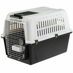 Ferplast ATLAS 50-60 PROFESSIONAL Panier De Transport Pour Chiens De Taille Moyenne à Grande. Taille 50 Ou 60.. Variante ATLAS 50 - Mesures: 55.5 X 81 X H 59.5 Cm - Gris - Gris
