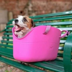 Ferplast WITH-ME Sac En Résine Pour Le Transport De Chiens De Petites Tailles, Différentes Couleurs. Variante WITH-ME - Mesures: 21.5 X 43.5 X H 25 Cm - Fuchsia - Fuchsia 8 Ferplast WITH-ME Sac En Résine Pour Le Transport De Chiens De Petites Tailles, Différentes Couleurs. Variante WITH-ME - Mesures: 21.5 X 43.5 X H 25 Cm - Fuchsia - Fuchsia -Cage, caisse et transport pour chien Soldes 12573243 4