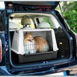Ferplast ATLAS CAR Transport Pour Chiens Pour Des Voyages En Voiture. Différentes Tailles.. Variante MINI - Mesures: 72 X 41 X H 51 Cm - Gris - Gris -Cage, caisse et transport pour chien Soldes 12573250 4