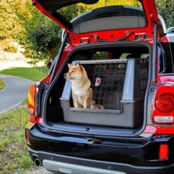 Ferplast ATLAS CAR SCENIC Panier De Transport Chiens Pour Voiture. Différentes Mesures. . Variante 80 - Mesures: 82 X 51 X H 61 Cm - Noir 7 Ferplast ATLAS CAR SCENIC Panier De Transport Chiens Pour Voiture. Différentes Mesures. . Variante 80 - Mesures: 82 X 51 X H 61 Cm - Noir -Cage, caisse et transport pour chien Soldes 12573906 3