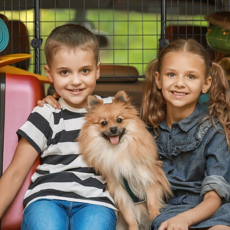 Relaxdays Grille De Séparation Pour Chien Voiture, Barrière Universelle, Largeur Réglable, H X L 40 X 92-157 Cm, Noir 5 Relaxdays Grille De Séparation Pour Chien Voiture, Barrière Universelle, Largeur Réglable, H X L 40 X 92-157 Cm, Noir – Image 5