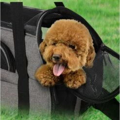 BETTERLIFE Sac à Main Pour Chat De Centre Commercial, Sac De Messager Pliable, Lavable Et Détachable Pour Chats, Chatons Et Chiens, Avions Pour Animaux De Compagnie (43 * 23 * 29 CM) Noir 9 BETTERLIFE Sac à Main Pour Chat De Centre Commercial, Sac De Messager Pliable, Lavable Et Détachable Pour Chats, Chatons Et Chiens, Avions Pour Animaux De Compagnie (43 * 23 * 29 CM) Noir -Cage, caisse et transport pour chien Soldes 28259984 5