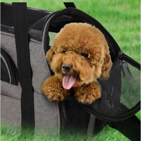 BETTERLIFE Sac à Main Pour Chat De Centre Commercial, Sac De Messager Pliable, Lavable Et Détachable Pour Chats, Chatons Et Chiens, Avions Pour Animaux De Compagnie (43 * 23 * 29 CM) Noir 5 BETTERLIFE Sac à Main Pour Chat De Centre Commercial, Sac De Messager Pliable, Lavable Et Détachable Pour Chats, Chatons Et Chiens, Avions Pour Animaux De Compagnie (43 * 23 * 29 CM) Noir – Image 5