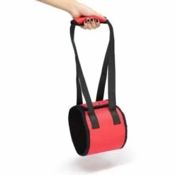 Triomphe Ceinture De Transport Pour Animaux De Compagnie, Ceinture De Transport Pour Chien, Ceinture D'assistance Pour Animaux De Compagnie, Ceinture De Protection Pour Animaux De Compagnie, Ceinture De Protection Pour Chien, Fournitures Pour Animaux De C -Cage, caisse et transport pour chien Soldes 28405774 3