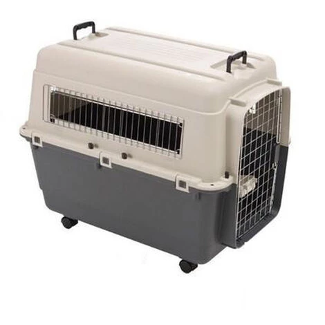 Cage De Transport Kennel Box Pour Chien Ou Chat (Modèle Avion) Désignation : Kennel Box | Type : T6 | Taille : Kennel Box MORIN 900067 1 Cage De Transport Kennel Box Pour Chien Ou Chat (Modèle Avion) Désignation : Kennel Box | Type : T6 | Taille : Kennel Box MORIN 900067