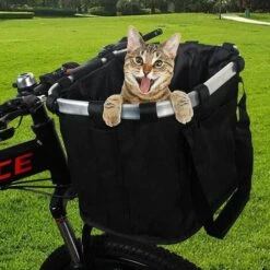 Kueatily Panier De Vélo Support Pour Chien Pliable Amovible, Avec Panier De Guidon De Vélo Réglable Libération Rapide Facile à Iinstaller 7 Kueatily Panier De Vélo Support Pour Chien Pliable Amovible, Avec Panier De Guidon De Vélo Réglable Libération Rapide Facile à Iinstaller -Cage, caisse et transport pour chien Soldes 28506168 3