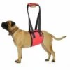 Betterlife Ceinture De Transport Pour Animaux De Compagnie, Ceinture De Transport Pour Chien, Ceinture D'assistance Pour Animaux De Compagnie, Ceinture De Protection Pour Animaux De Compagnie, Ceinture De Protection Pour Chien, Fournitures Pour Animaux De