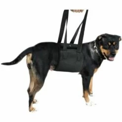 Betterlife Ceinture De Transport Pour Animaux De Compagnie, Ceinture De Transport Pour Chien, Ceinture D'assistance Pour Animaux De Compagnie, Ceinture De Protection Pour Animaux De Compagnie, Ceinture De Protection Pour Chien, Fournitures Pour Animaux De