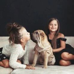 Relaxdays Enclos Pour Chiots Avec Fond, Parc Pour Petits Chiens, Lapins Et Chiots, Intérieur, Haut, Taille XL, Noir -Cage, caisse et transport pour chien Soldes 32828126 3