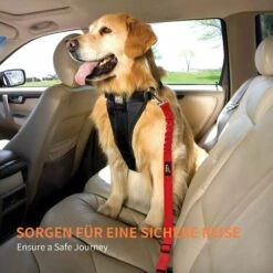 PERLE RARE Ceinture De Sécurité Pour Chien Avec Amortisseur élastique Et Mousqueton Robuste, Ceinture Réglable Pour Chien, Niveau De Sécurité Le Plus élevé Pour Toutes Les Races De Chiens Et Chats, Rouge 2 Pièces -Cage, caisse et transport pour chien Soldes 33995440 5