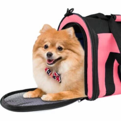 TODECO Sac De Transport Pour Animaux, Sac Pour Chats Et Chiens, 50 X 31 X 29 Cm, Rose, Matériau: Mesh Material, Polyester - Rose -Cage, caisse et transport pour chien Soldes 35074840 4