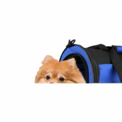 TODECO Sac De Transport Pour Animaux, Sac Pour Chats Et Chiens, 50 X 31 X 29 Cm, Bleu, Matériau: Mesh Material, Polyester - Bleu -Cage, caisse et transport pour chien Soldes 35074848 4