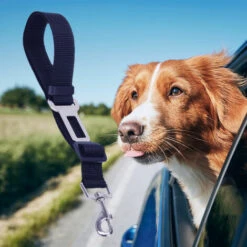 DIYOZZY Ceinture De Traction Réglable Pour Animaux De Compagnie En Tissu De Haute Qualité Avec Corde De Sécurité Pour Chien -Cage, caisse et transport pour chien Soldes 35081113 4