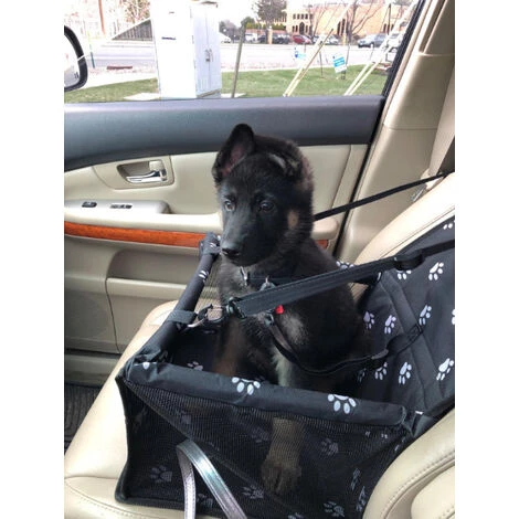THSINDE Siège Auto Avec Laisse De Sécurité à Clipser Et Couverture Pour Chien, Très Adapté Aux Petits Animaux De Compagnie 4 THSINDE Siège Auto Avec Laisse De Sécurité à Clipser Et Couverture Pour Chien, Très Adapté Aux Petits Animaux De Compagnie – Image 4