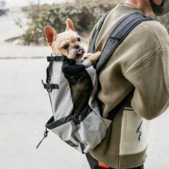 BETTERLIFE Sac à Dos Léger Pour Chien De Petite Et Moyenne Taille, Approuvé Par Les Vétérinaires Pour Les Voyages – Facile à Transporter Et économie De L'espace