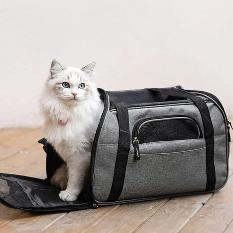 BETTERLIFE Sac Transport Pour Chat/Petit Chien/Lapin, Panier Transport Cabine Pour Petit Animal, Sac Porté Main/Bandoulière Pour Voyage En Train/Voiture/Avion Homologué(Gris) 2 BETTERLIFE Sac Transport Pour Chat/Petit Chien/Lapin, Panier Transport Cabine Pour Petit Animal, Sac Porté Main/Bandoulière Pour Voyage En Train/Voiture/Avion Homologué(Gris) – Image 2