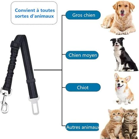 BARES Lot De 2 Voiture Ceinture De Securite Pour Chien, Avec Système D'absorption Des Chocs Et Mousqueton Solide Réglable Harnais Pour Chien Et Chat (Noir) 5 BARES Lot De 2 Voiture Ceinture De Securite Pour Chien, Avec Système D'absorption Des Chocs Et Mousqueton Solide Réglable Harnais Pour Chien Et Chat (Noir) – Image 5