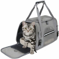 Sac De Transport Pour Chat, Triomphe Caisse Pliable Pour Chien Respirant, Avec Bandoulière Réglable Sac Transport Chien, Pour Chat Chaton Petit Chien Lapin Animal 7 Sac De Transport Pour Chat, Triomphe Caisse Pliable Pour Chien Respirant, Avec Bandoulière Réglable Sac Transport Chien, Pour Chat Chaton Petit Chien Lapin Animal -Cage, caisse et transport pour chien Soldes 45292333 3