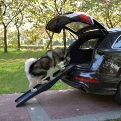 @Pet Rampe De Voiture Pour Chien Pliable 152 Cm Noir 10051 - Noir 7 @Pet Rampe De Voiture Pour Chien Pliable 152 Cm Noir 10051 - Noir -Cage, caisse et transport pour chien Soldes 4700718 4