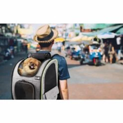 Pecute Sac à Dos Chat Chien Extensible 90%, Sac Transport Pour Chat Petit Chien Respirant, Sac A Dos De Transport Chat Avec Matelas En Peluche Amovible, Pour Voyage En Train/Voiture/Restaurant/Avion, Gris - Gris 8 Pecute Sac à Dos Chat Chien Extensible 90%, Sac Transport Pour Chat Petit Chien Respirant, Sac A Dos De Transport Chat Avec Matelas En Peluche Amovible, Pour Voyage En Train/Voiture/Restaurant/Avion, Gris - Gris -Cage, caisse et transport pour chien Soldes 47518480 4