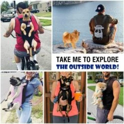 Sac De Transport De Voyage Sac à Dos De Transporteur Ventral Poitrine Pour Petit Chien Chiot Chat Pour Traveling Hiking Camping Etc Noir Fontainebleau 9 Sac De Transport De Voyage Sac à Dos De Transporteur Ventral Poitrine Pour Petit Chien Chiot Chat Pour Traveling Hiking Camping Etc Noir Fontainebleau -Cage, caisse et transport pour chien Soldes 48635831 5