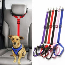 ZHUOXUAN Corde De Sécurité Pour Voiture Pour Animaux De Compagnie, Ceinture De Sécurité Pour Chien à Anneau, Corde De Traction Pour Siège Arrière 2pcs Orange -Cage, caisse et transport pour chien Soldes 51450392 5