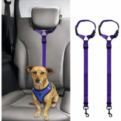 ZHUOXUAN Corde De Sécurité Pour Voiture Pour Animaux De Compagnie, Ceinture De Sécurité Pour Chien à Anneau, Corde De Traction Pour Siège Arrière 2pcs Noir -Cage, caisse et transport pour chien Soldes 51450393 3