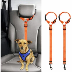 ZHUOXUAN Corde De Sécurité Pour Voiture Pour Animaux De Compagnie, Ceinture De Sécurité Pour Chien à Anneau, Corde De Traction Pour Siège Arrière 2pcs Noir -Cage, caisse et transport pour chien Soldes 51450393 5