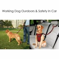 ZHUOXUAN Ceinture De Sécurité Pour Chien, 2 Pièces De Ceinture De Sécurité Pour Voiture Pour Animaux De Compagnie Appuie-tête Ceinture De Sécurité Réglable Pour Chiot Ceinture De Sécurité élastique Réfléchissante Connexion élastique à L'élastique Harnais De Voitur -Cage, caisse et transport pour chien Soldes 51452543 5