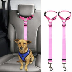 ZHUOXUAN Corde De Sécurité Pour Voiture Pour Animaux De Compagnie, Ceinture De Sécurité Pour Chien à Anneau, Corde De Traction Pour Siège Arrière 2pcs Jaune -Cage, caisse et transport pour chien Soldes 51458215 3