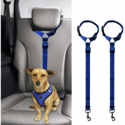 ZHUOXUAN Corde De Sécurité Pour Voiture Pour Animaux De Compagnie, Ceinture De Sécurité Pour Chien à Anneau, Corde De Traction Pour Siège Arrière 2pcs Rouge -Cage, caisse et transport pour chien Soldes 51460828 3