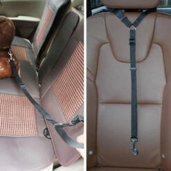ZHUOXUAN Corde De Sécurité Pour Voiture Pour Animaux De Compagnie, Ceinture De Sécurité Pour Chien à Anneau, Corde De Traction Pour Siège Arrière 2pcs Rouge -Cage, caisse et transport pour chien Soldes 51460828 5