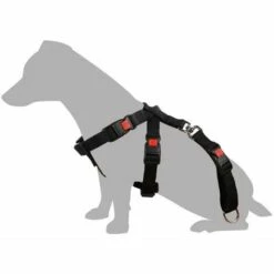 Harnais De Sécurité Voiture Pour Chien Taille L / 41-65 Cm Pour Chien. - Flamingo Pet Products - Noir