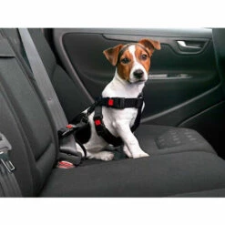 Harnais De Sécurité Voiture Pour Chien Taille L / 41-65 Cm Pour Chien. - Flamingo Pet Products - Noir -Cage, caisse et transport pour chien Soldes 51741058 3