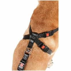 Harnais De Sécurité Voiture Pour Chien Taille L / 41-65 Cm Pour Chien. - Flamingo Pet Products - Noir -Cage, caisse et transport pour chien Soldes 51741058 4