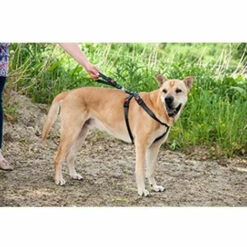 Harnais De Sécurité Voiture Pour Chien Taille L / 41-65 Cm Pour Chien. - Flamingo Pet Products - Noir -Cage, caisse et transport pour chien Soldes 51741058 5