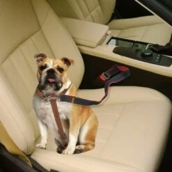 REGALI Ceinture De Sécurité Pour Chien, Lot De 2 Ceintures De Sécurité Réglables Pour Animal De Compagnie, Laisses De Sécurité Pour Harnais Pour Chien, Laisse De Voyage Pour Véhicule De Chat, Longueur Réglable (rouge) -Cage, caisse et transport pour chien Soldes 52572191 4