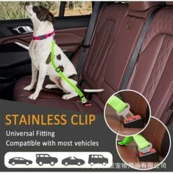REGALI Ceinture De Sécurité Pour Chien, Lot De 2 Ceintures De Sécurité Réglables Pour Animal De Compagnie, Laisses De Sécurité Pour Harnais Pour Chien, Laisse De Voyage Pour Véhicule De Chat, Longueur Réglable (vert) -Cage, caisse et transport pour chien Soldes 52572877 4