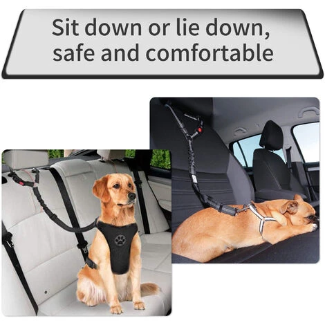 SUPERSELLER Accessoires De Voiture Pour Chien 100cm Ceinture De Sécurité De Voiture Pour Animaux De Compagnie Chien Laisse Marche Chien Corde Chien Ceinture Chien Voiture Ceinture De Sécurité - Bleu 4 SUPERSELLER Accessoires De Voiture Pour Chien 100cm Ceinture De Sécurité De Voiture Pour Animaux De Compagnie Chien Laisse Marche Chien Corde Chien Ceinture Chien Voiture Ceinture De Sécurité - Bleu – Image 4