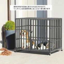 BINGO PAW Cage Pour Chien Grande Taille Cages De Transport Chien à Roulette Avec 3 Portes 95 X 81 X 57 CM -Cage, caisse et transport pour chien Soldes 53498572 3