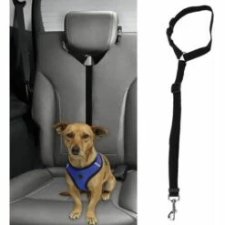 Ceinture De Sécurité Pour Chien De Voiture Noir FUIENKO -Cage, caisse et transport pour chien Soldes 54067963 3