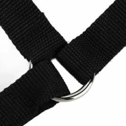 Ceinture De Sécurité Pour Chien De Voiture Noir FUIENKO -Cage, caisse et transport pour chien Soldes 54067963 4
