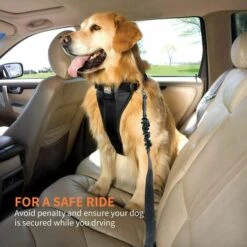 PERLE RARE Lot De 2 Voiture Ceinture De Securite Pour Chien, Avec Absorption Des Chocs Et Mousqueton Elastique Reglable Pour Chien Harnais De Securite Superieure Pour Tous Les Chiens Et Chats, Gris 9 PERLE RARE Lot De 2 Voiture Ceinture De Securite Pour Chien, Avec Absorption Des Chocs Et Mousqueton Elastique Reglable Pour Chien Harnais De Securite Superieure Pour Tous Les Chiens Et Chats, Gris -Cage, caisse et transport pour chien Soldes 55607949 5