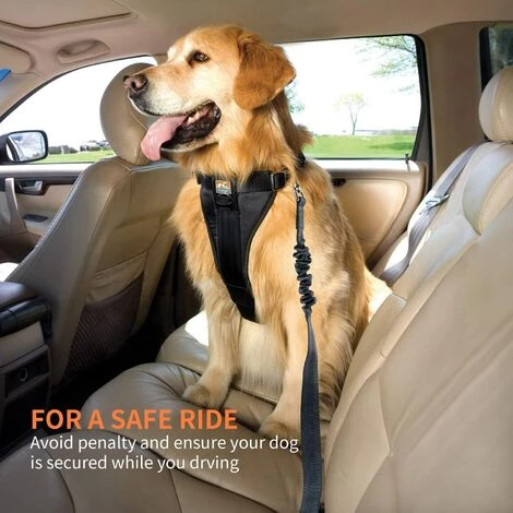 PERLE RARE Lot De 2 Voiture Ceinture De Securite Pour Chien, Avec Absorption Des Chocs Et Mousqueton Elastique Reglable Pour Chien Harnais De Securite Superieure Pour Tous Les Chiens Et Chats, Gris 5 PERLE RARE Lot De 2 Voiture Ceinture De Securite Pour Chien, Avec Absorption Des Chocs Et Mousqueton Elastique Reglable Pour Chien Harnais De Securite Superieure Pour Tous Les Chiens Et Chats, Gris – Image 5