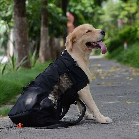 CADEAUX Sac à Dos Pour Chien Pour Petits Et Moyens Animaux De Compagnie Sac à Dos Noir S 3 CADEAUX Sac à Dos Pour Chien Pour Petits Et Moyens Animaux De Compagnie Sac à Dos Noir S – Image 3
