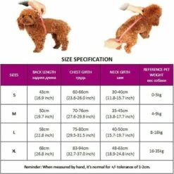 CADEAUX Sac à Dos Pour Chien Pour Petits Et Moyens Animaux De Compagnie Sac à Dos Noir S 9 CADEAUX Sac à Dos Pour Chien Pour Petits Et Moyens Animaux De Compagnie Sac à Dos Noir S -Cage, caisse et transport pour chien Soldes 56623380 5