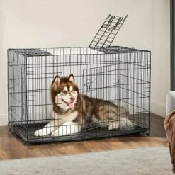 IZTOSS Cage Chien 83x60x66cm - Qualité Cage Pour Chien, Chat, Animal Domestique - Pliable Et Transportable Avec Poignées Et 2 Plateau - Noir