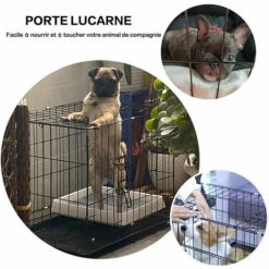 IZTOSS Cage Chien 83x60x66cm - Qualité Cage Pour Chien, Chat, Animal Domestique - Pliable Et Transportable Avec Poignées Et 2 Plateau - Noir 7 IZTOSS Cage Chien 83x60x66cm - Qualité Cage Pour Chien, Chat, Animal Domestique - Pliable Et Transportable Avec Poignées Et 2 Plateau - Noir -Cage, caisse et transport pour chien Soldes 56842183 3