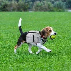 ZHUOXUAN Sac à Dos Réglable Pour Chien Avec Sacoches, Idéal Pour La Randonnée（gris）