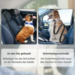 LONGZIMING Ceinture De Sécurité Pour Chien Et Chat - Harnais De Sécurité Réglable Pour Toutes Les Races De Chiens Et Les Types De Voitures 8 LONGZIMING Ceinture De Sécurité Pour Chien Et Chat - Harnais De Sécurité Réglable Pour Toutes Les Races De Chiens Et Les Types De Voitures -Cage, caisse et transport pour chien Soldes 58324541 4